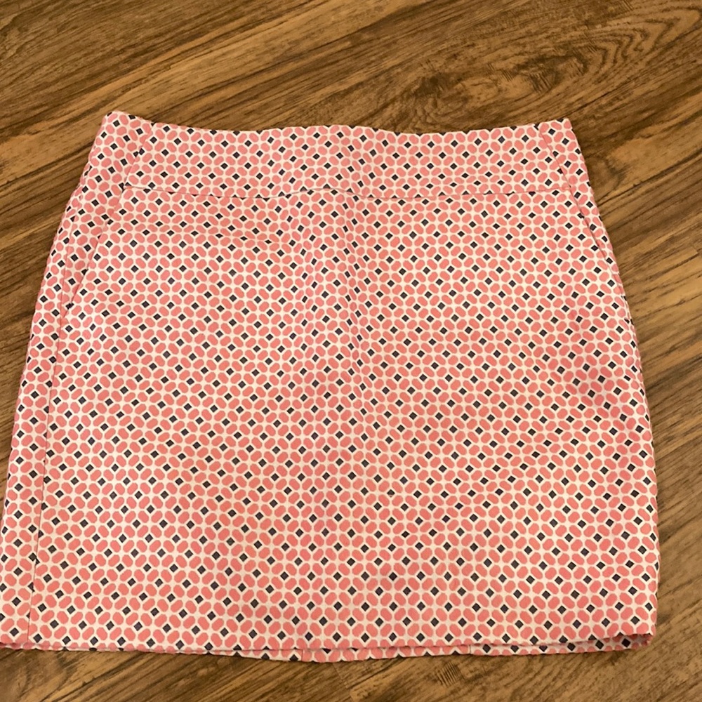 Ann Taylor Skirt size 10